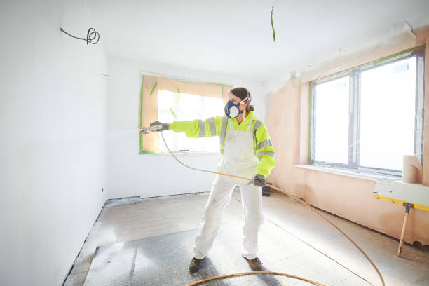 Trusted Dunsmuir, CA Mold Removal Experts