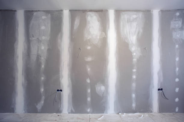 Best Asbestos and Lead Testing During Mold Inspection  in Dunsmuir, CA